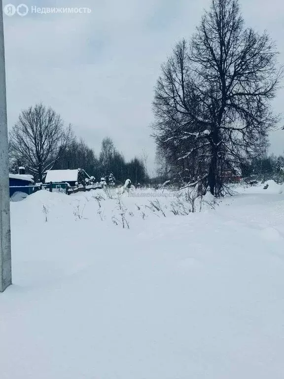Участок в Московская область, городской округ Воскресенск, деревня ... - Фото 2