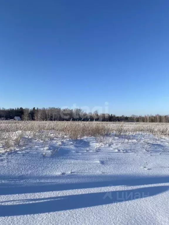 Участок в Тюменская область, Тюменский район, с. Каменка  (12.0 сот.) - Фото 1