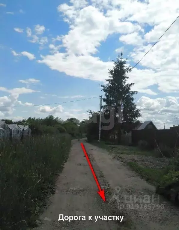 Участок в Калининградская область, Калининград Дельфин СНТ, проезд 6-й ... - Фото 1