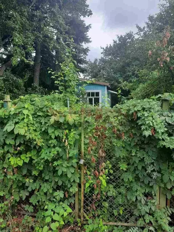 Участок в Ростовская область, Ростов-на-Дону Архитектурная ул., 43 ... - Фото 1