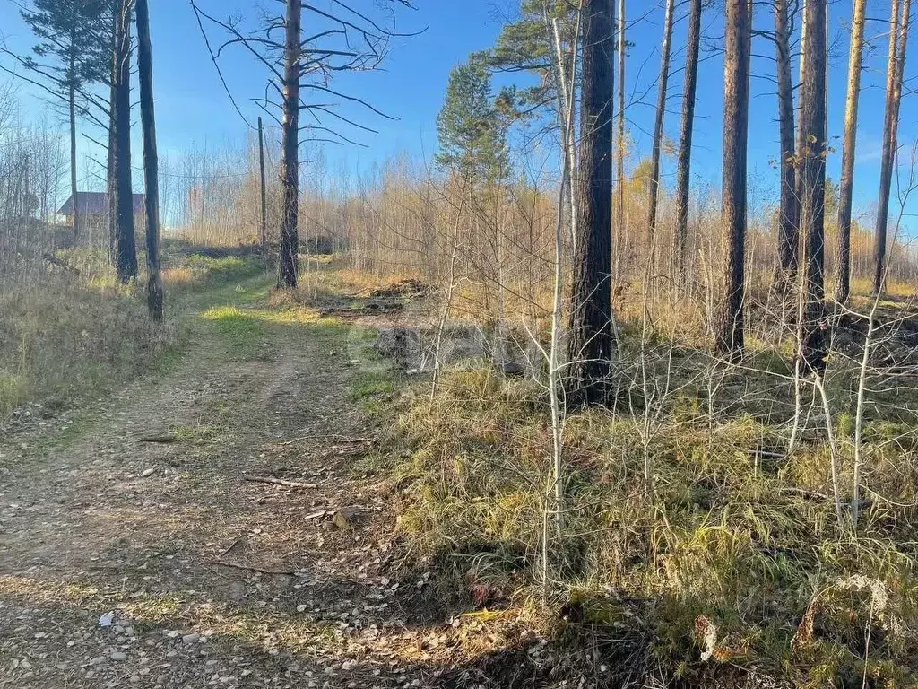 Участок в Иркутская область, Иркутский муниципальный округ, д. ... - Фото 2