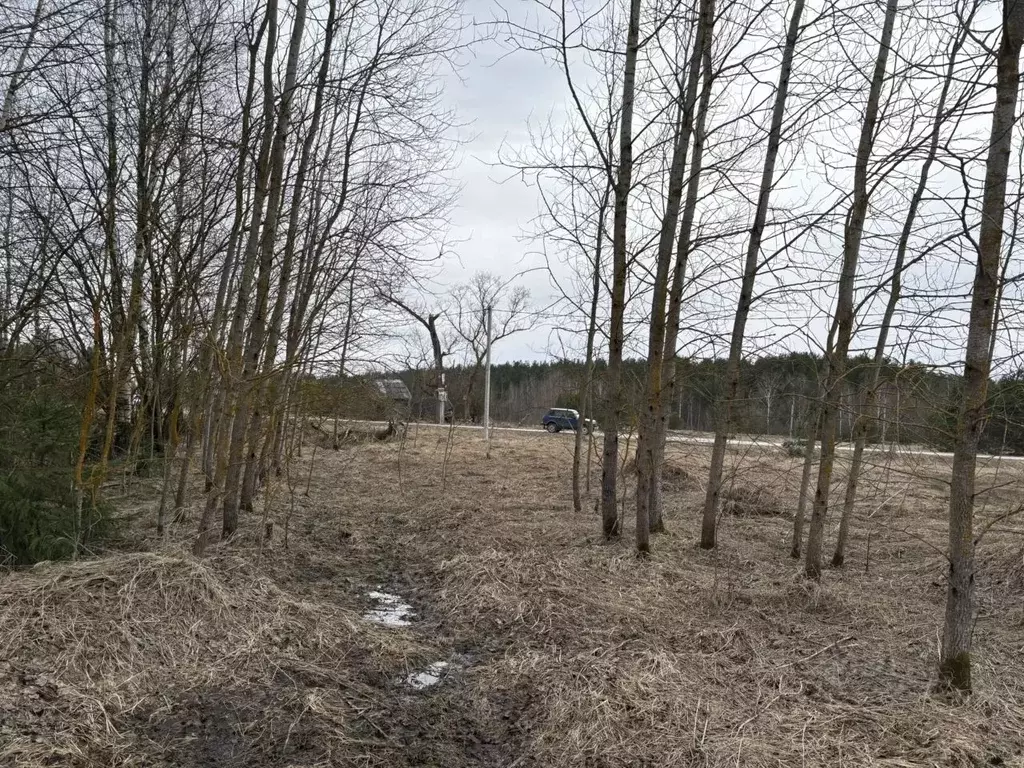 Участок в Московская область, Воскресенск городской округ, д. ... - Фото 1