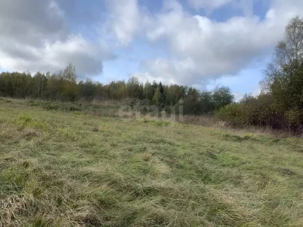 Участок в Ленинградская область, Выборгский район, Полянское с/пос, ... - Фото 2