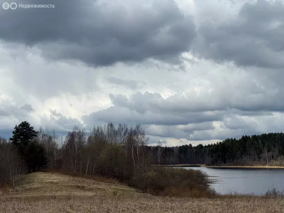 Участок в Новгородская область, Валдайский муниципальный район, ... - Фото 2