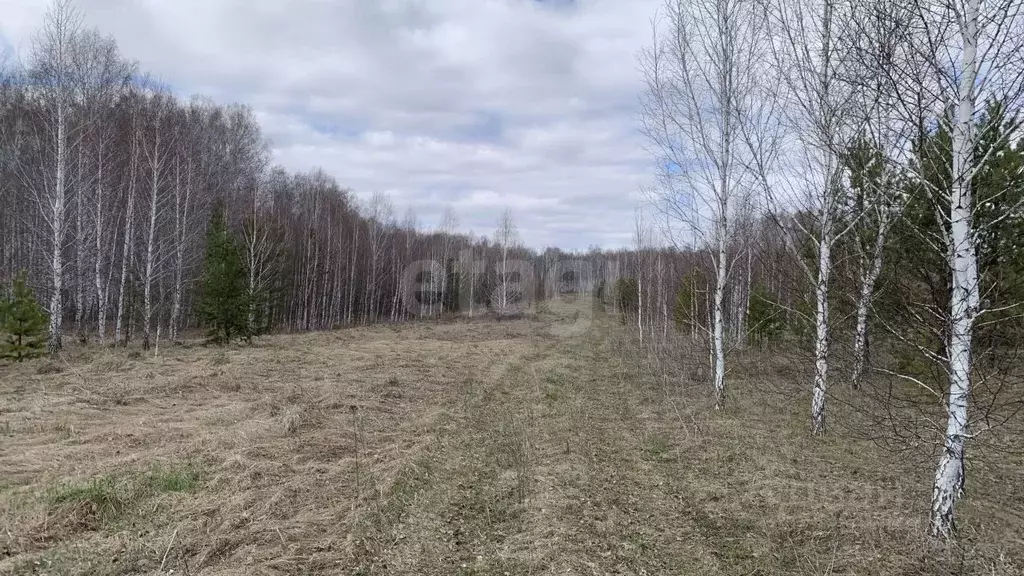 Участок в Челябинская область, Сосновский муниципальный округ, д. ... - Фото 2
