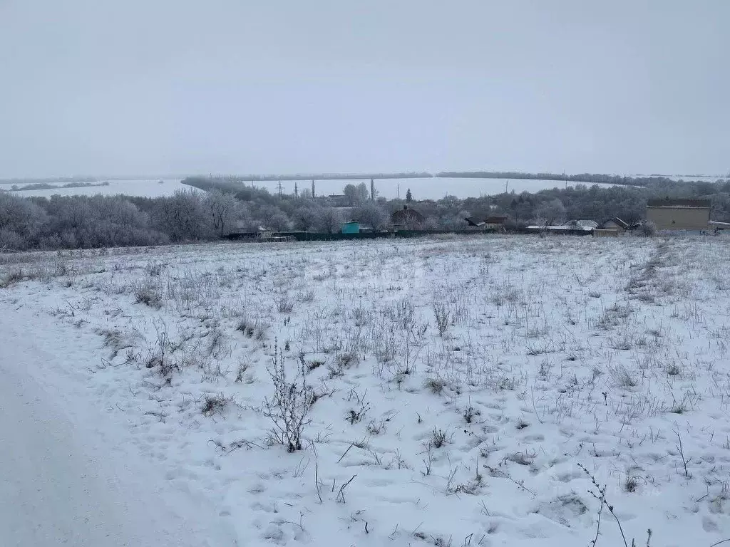 Участок в Воронежская область, Семилукский район, с. Медвежье Школьная ... - Фото 0