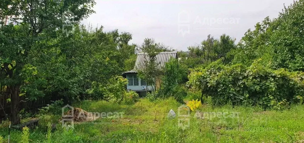 Дом в Волгоградская область, Волгоград Мичуринец СНТ, № 4 массив,  (15 ... - Фото 1