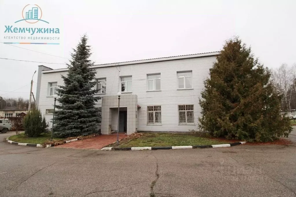 Помещение свободного назначения в Ульяновская область, Димитровград ... - Фото 1