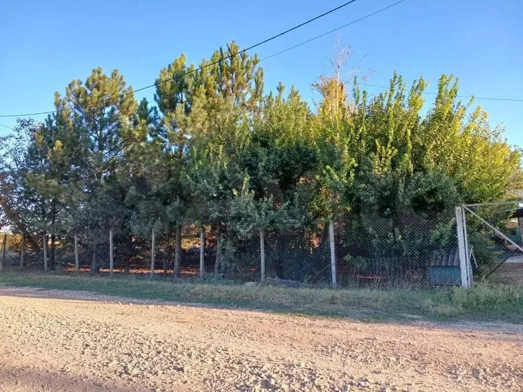 Участок 11,7 сот. (ИЖС) - Фото 0