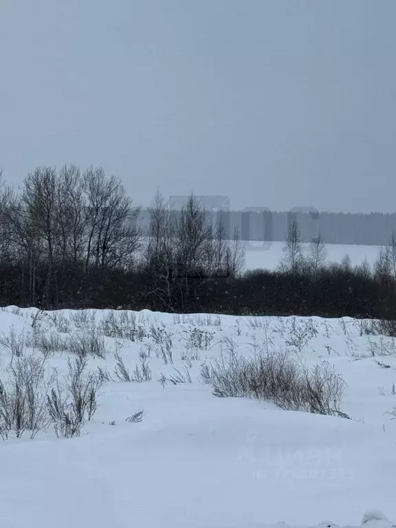 Участок в Свердловская область, Белоярский муниципальный округ, д. ... - Фото 1