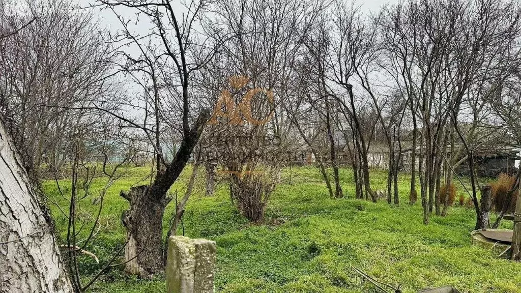 Дом в Абрикосовка, улица Ленина, 10 (77 м) - Фото 0