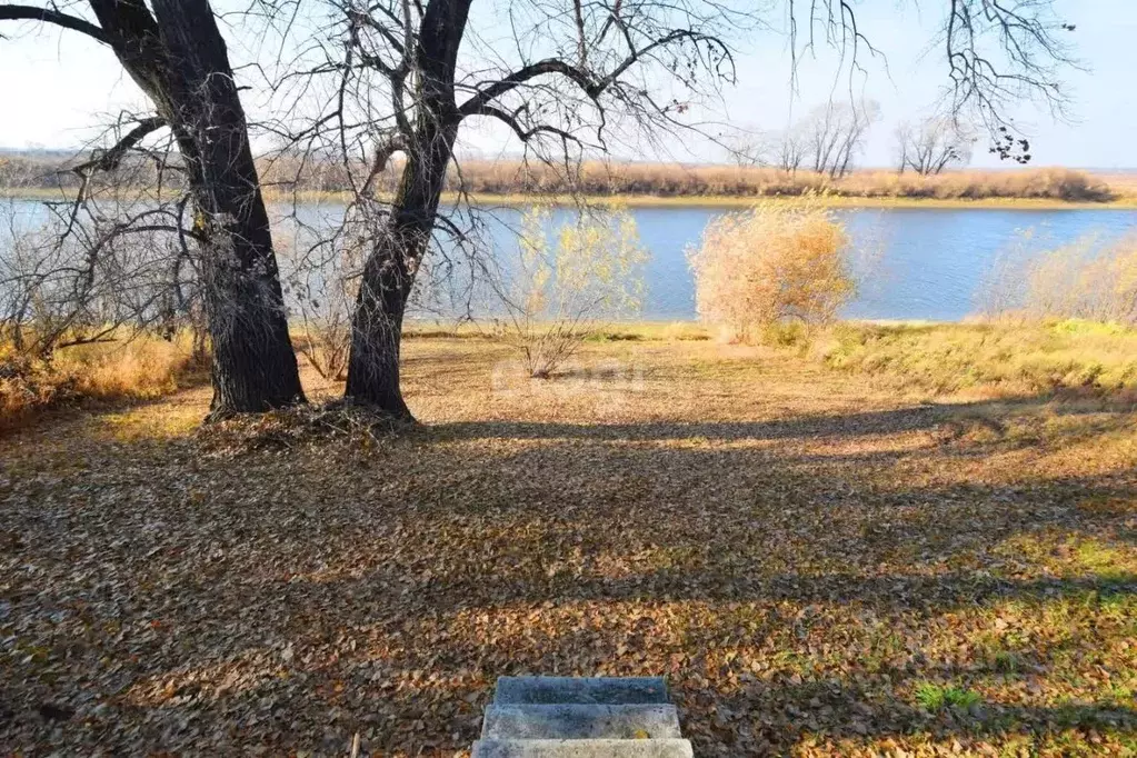 Участок в Тюменская область, Тюменский район, Лесное СНТ ул. Луговая ... - Фото 0