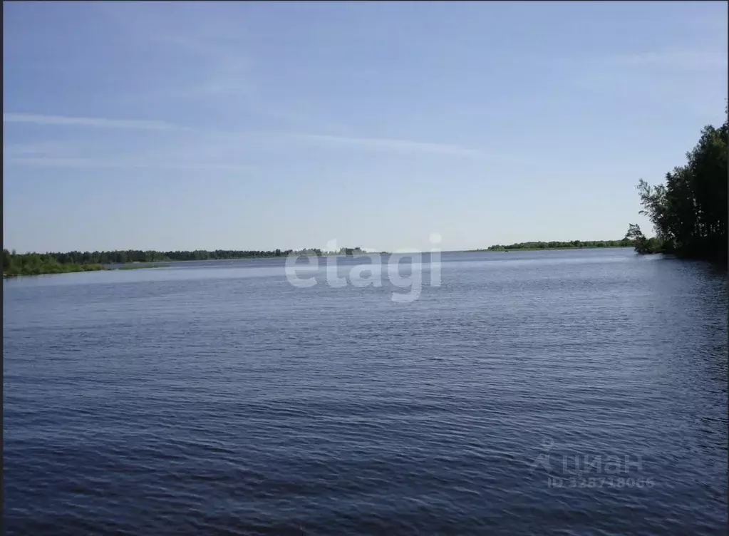 Участок в Ярославская область, Ярославский муниципальный округ, д. ... - Фото 1
