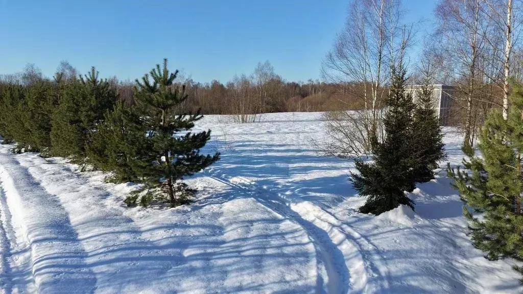 Участок в Московская область, Истра муниципальный округ, д. ... - Фото 2