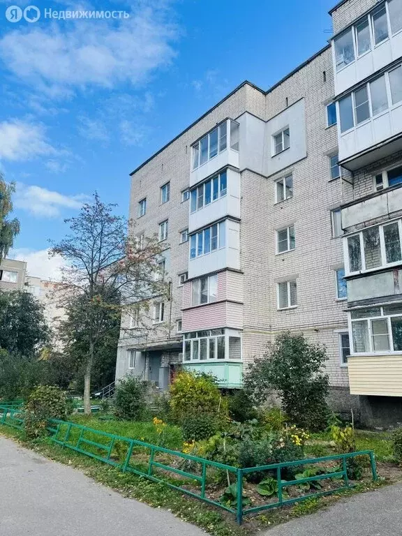 1-комнатная квартира: Бор, улица Тургенева, 105 (33.9 м) - Фото 0