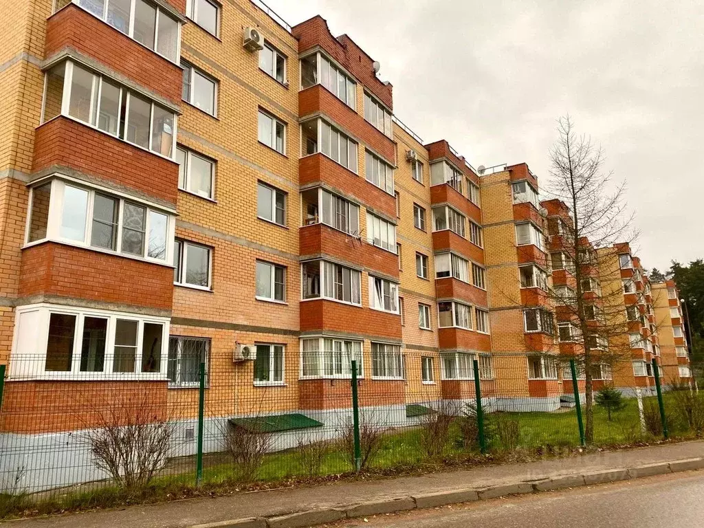 1-к кв. Московская область, Пушкинский городской округ, Зеленоградский ... - Фото 2