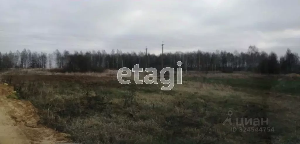 Участок в Калужская область, Перемышльский муниципальный округ, ... - Фото 2