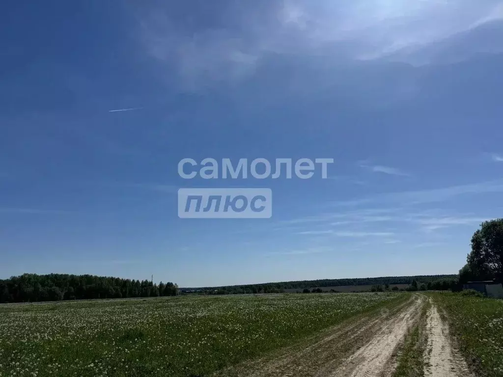 Участок в Московская область, Наро-Фоминский городской округ, д. ... - Фото 2