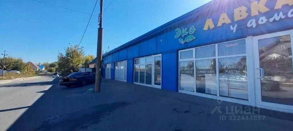 Торговая площадь в Саратовская область, Саратов Зерновая ул., 5 (22 м) - Фото 1