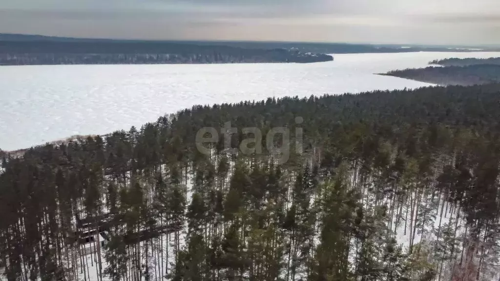 Участок в Ленинградская область, Приозерский район, Красноозерное ... - Фото 0