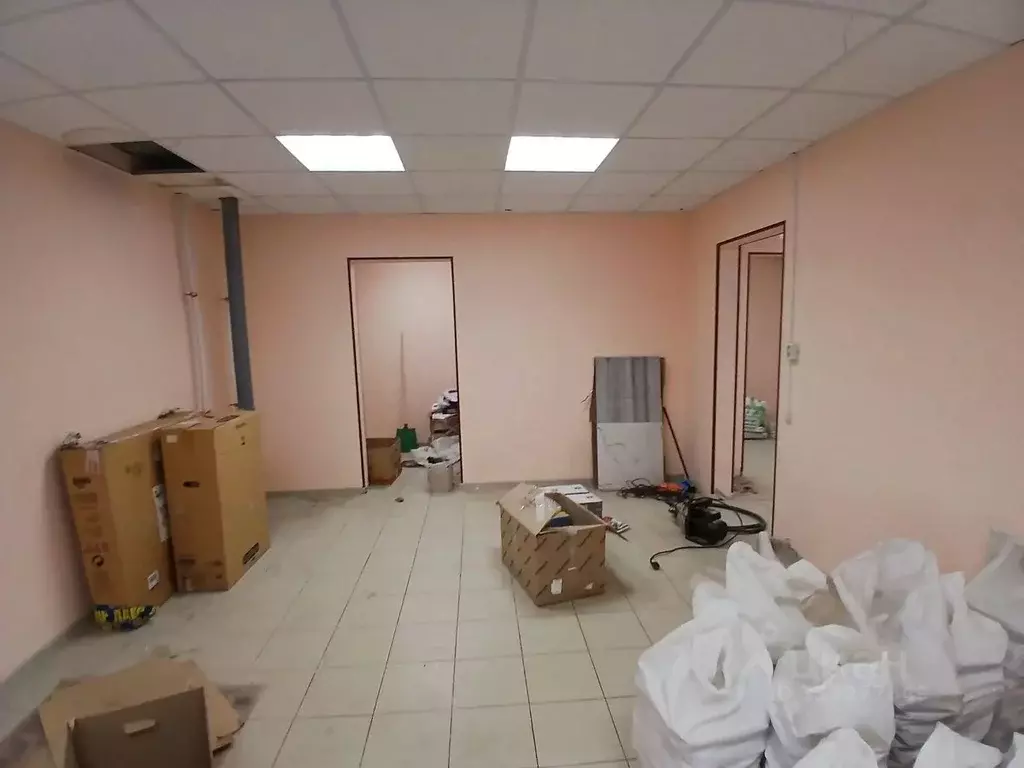 Помещение свободного назначения в Московская область, Домодедово Южный ... - Фото 2