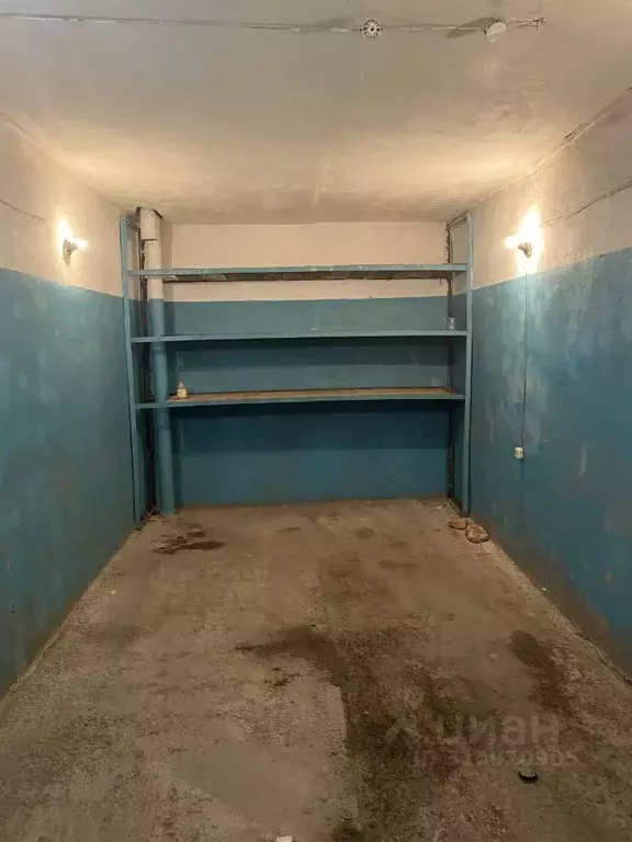 Гараж в Алтайский край, Барнаул Власихинская ул., 170Б (18 м) - Фото 1