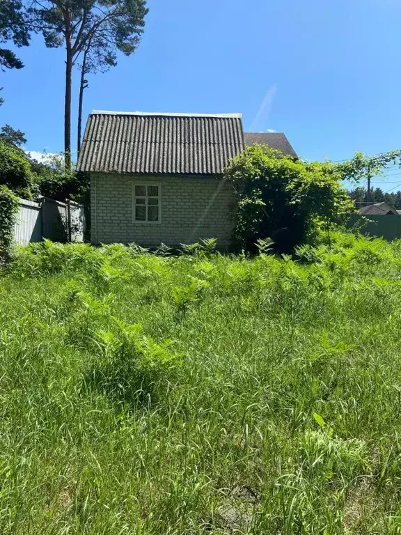 Дом в Брянская область, Брянский район, Новодарковичское с/пос, д. ... - Фото 1