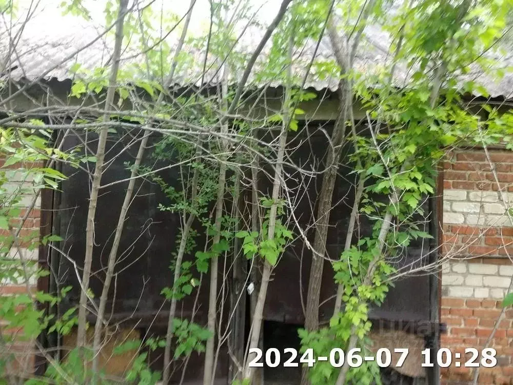 Помещение свободного назначения в Волгоградская область, Серафимович ... - Фото 1