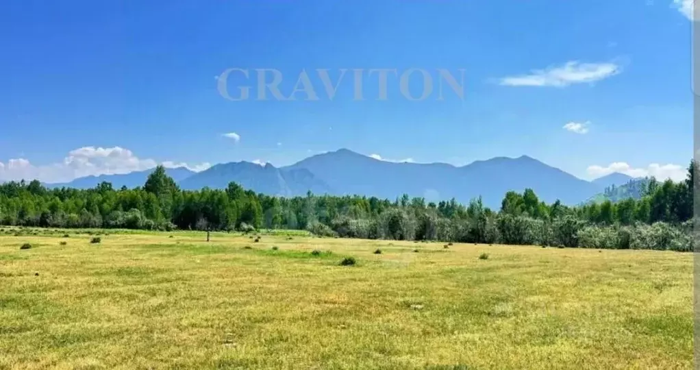 Участок в Алтай, Усть-Коксинский район, с. Горбуново  (20.0 сот.) - Фото 1