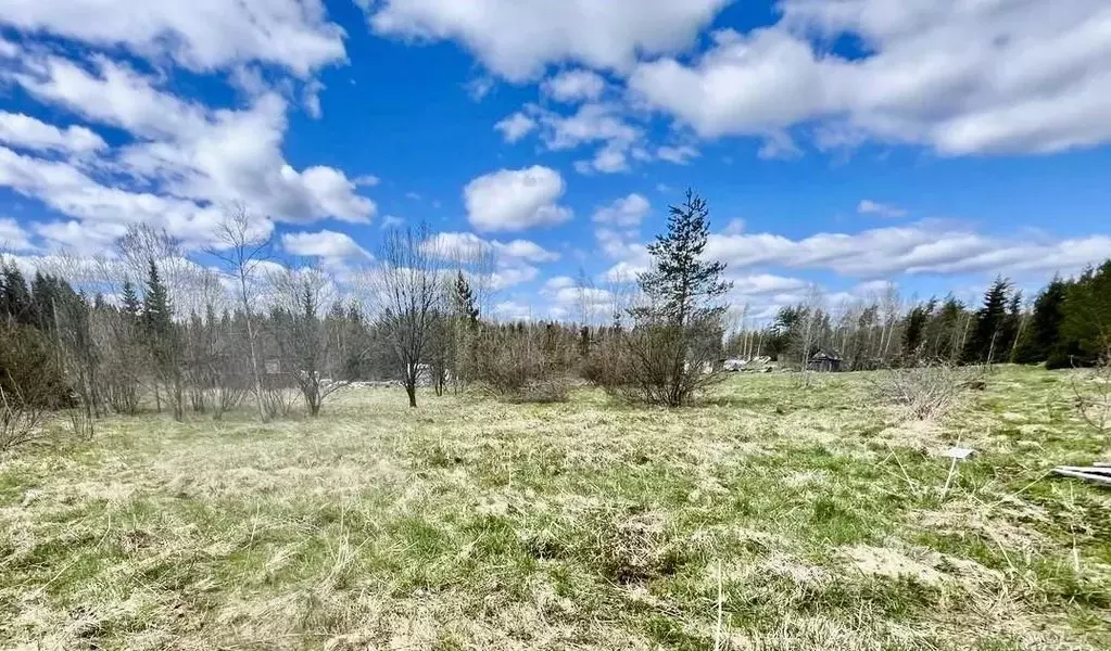 Участок в Ленинградская область, Выборгский район, Селезневское с/пос, ... - Фото 1