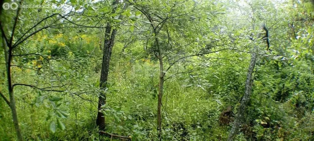 Участок в Нижний Новгород, садовое товарищество Маяк (4.8 м) - Фото 1