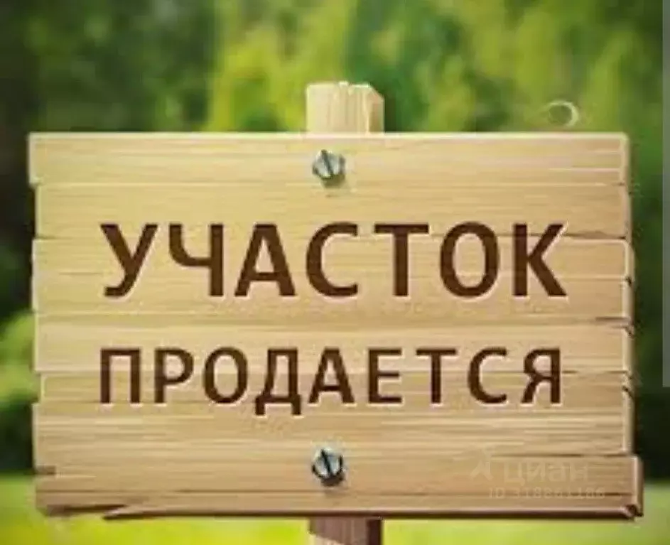 Участок в Нижегородская область, Большемурашкинский муниципальный ... - Фото 1