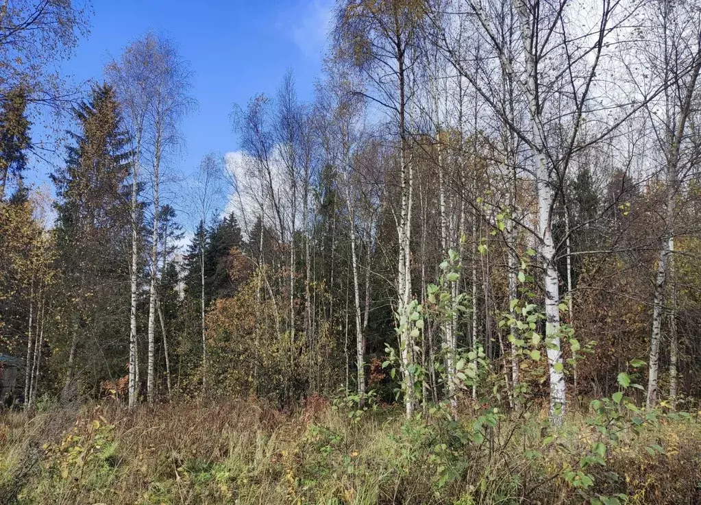 Участок в Московская область, Сергиево-Посадский городской округ, ... - Фото 1