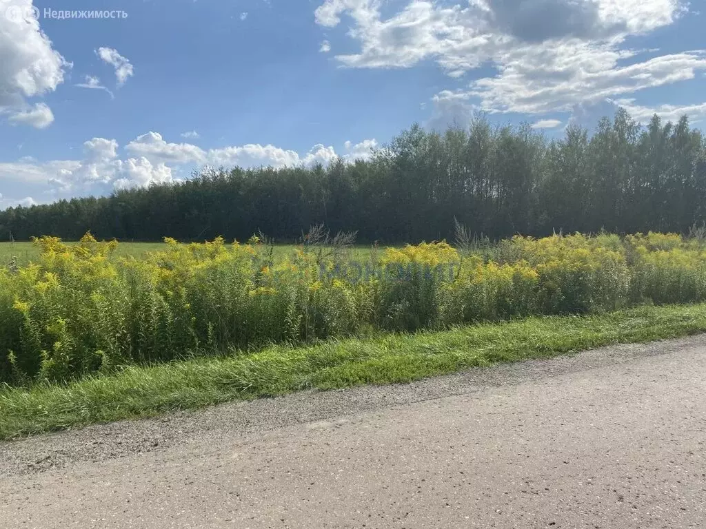 Участок в Каменки, улица Цветаевой (70 м) - Фото 1