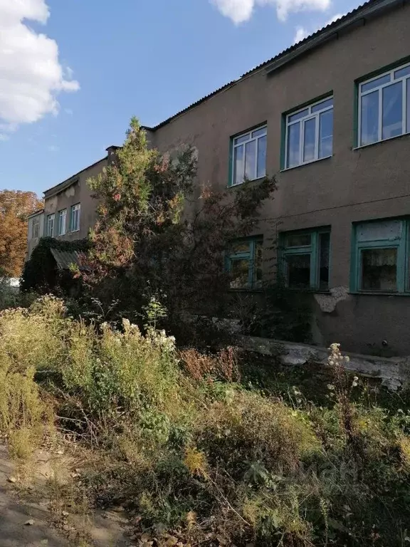 Помещение свободного назначения в Воронежская область, Верхнемамонский ... - Фото 1