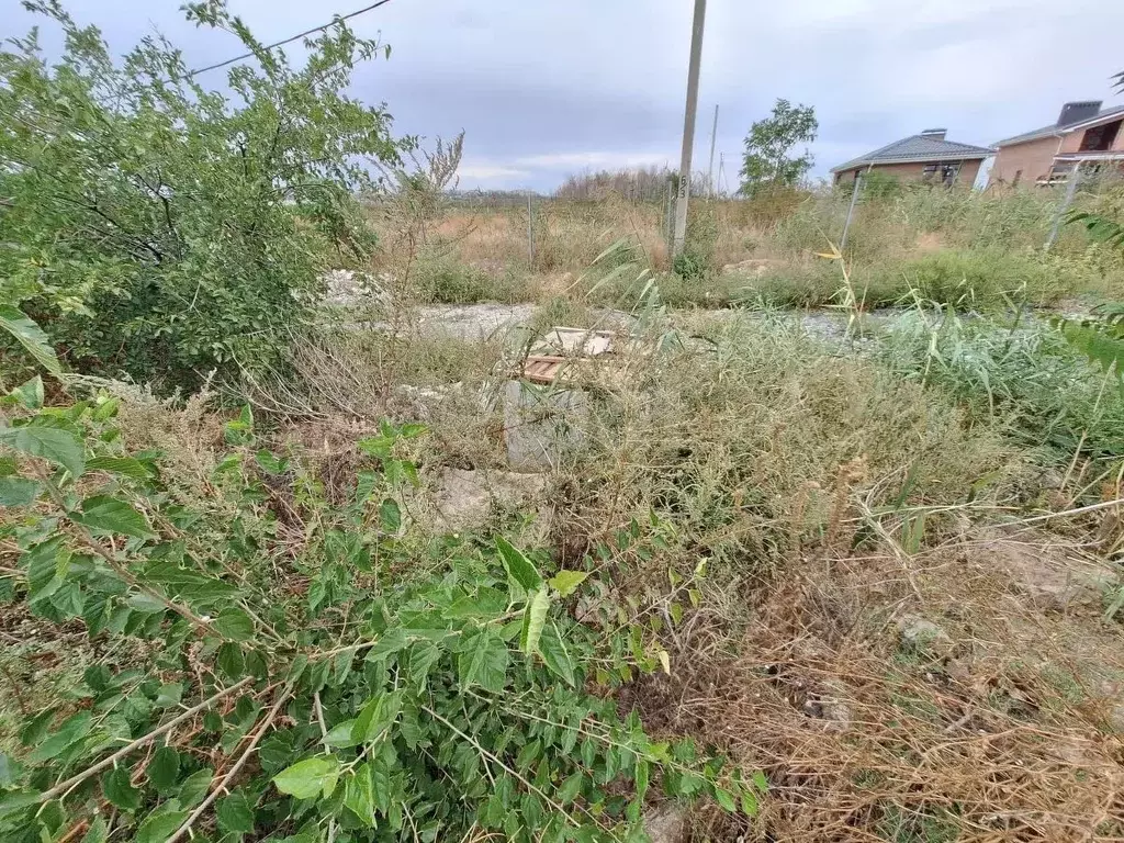 Участок в Ростовская область, Аксайский район, Ольгинское с/пос, ... - Фото 2