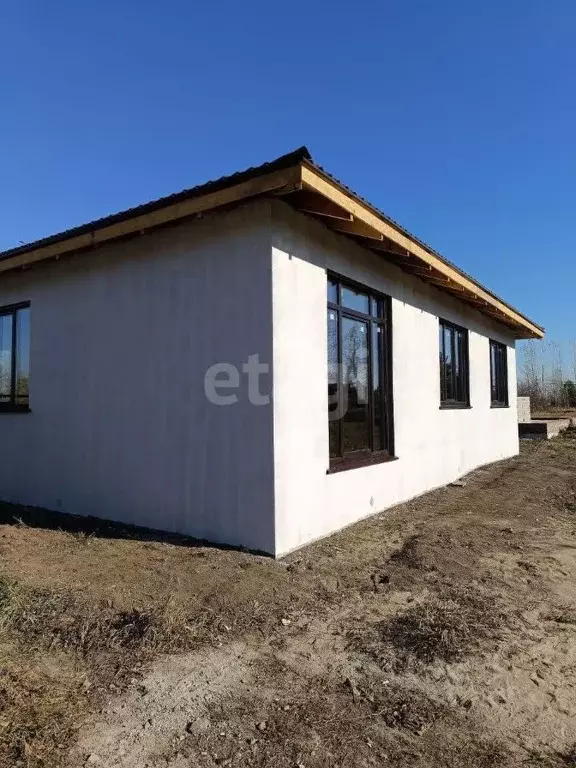 Дом в Новосибирская область, Коченевский район, Поселок Чистые луга ... - Фото 1