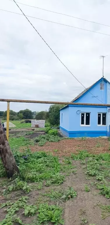 Дом в Курская область, Курский район, Щетинский сельсовет, д. ... - Фото 1