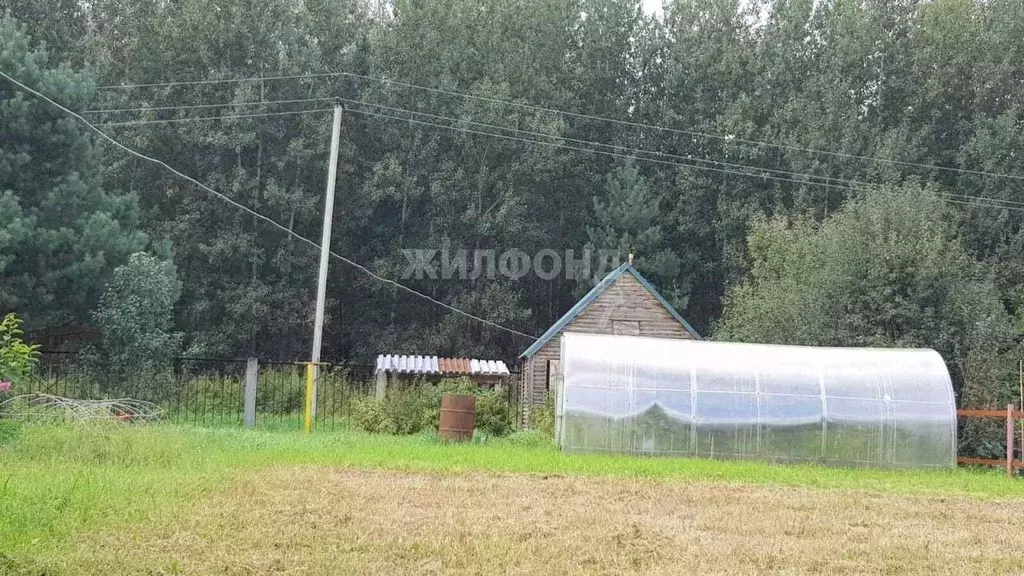 дом в новосибирская область, тогучинский район, заринка ст ул. . - Фото 1