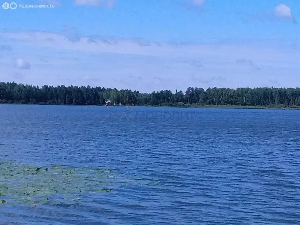 Участок в Нижегородская область, городской округ Семёновский, деревня ... - Фото 0