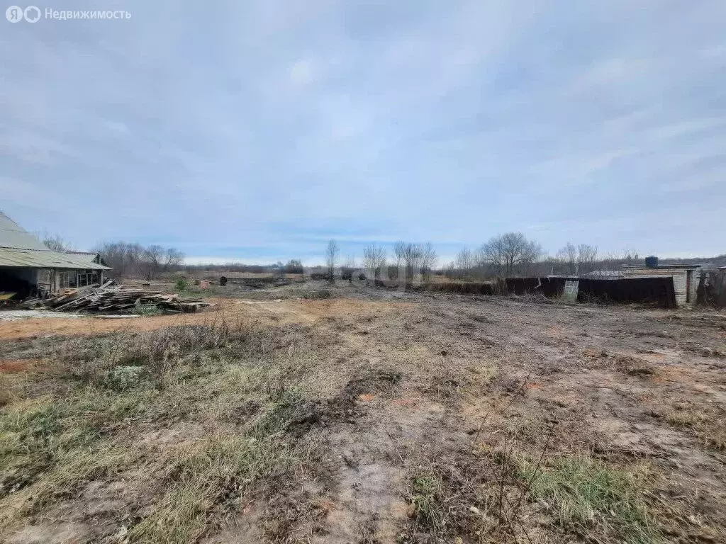 Участок в село Рождественская Хава, улица Воля (26 м) - Фото 1