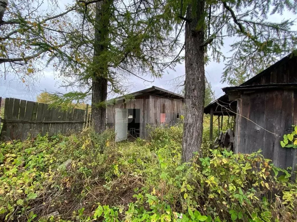 Участок в Вологодская область, Сокольский муниципальный округ, ... - Фото 1