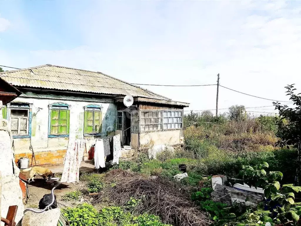 Дом в Челябинская область, Троицк Волочаевская ул. (48 м) - Фото 1