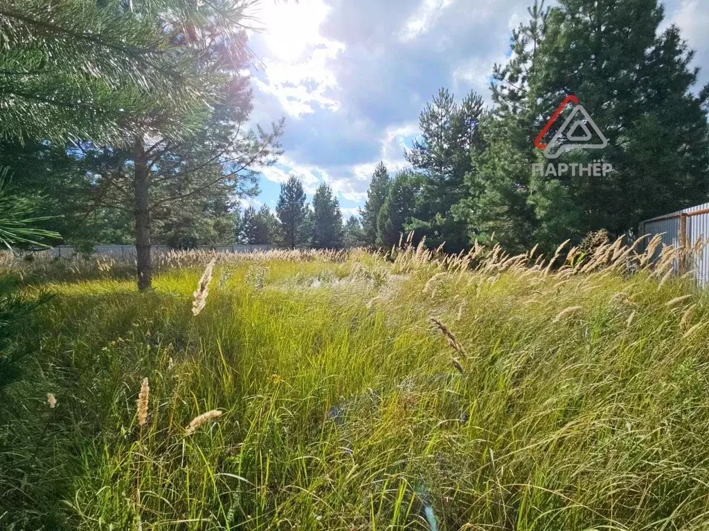 Участок в Ульяновская область, Мелекесский район, Старосахчинское ... - Фото 2