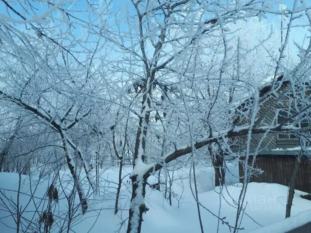 Дом в Татарстан, Зеленодольск Октябрьская ул. (30 м) - Фото 2