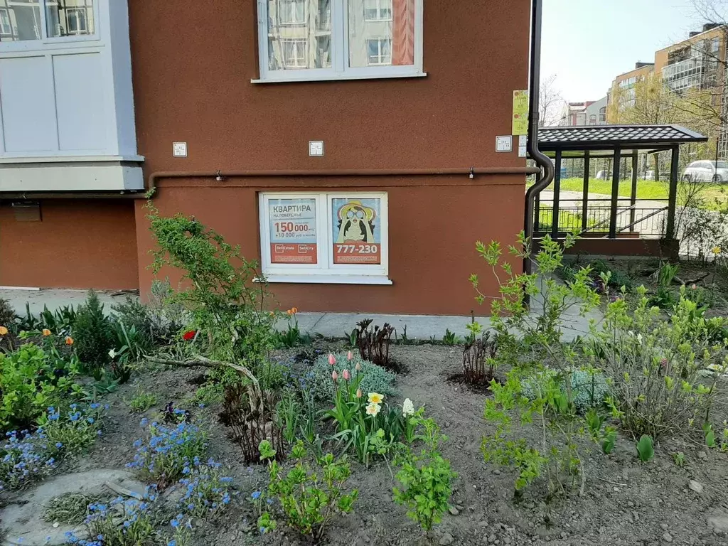 Торговая площадь в Калининградская область, Светлогорск Тихая ул., 10 ... - Фото 1