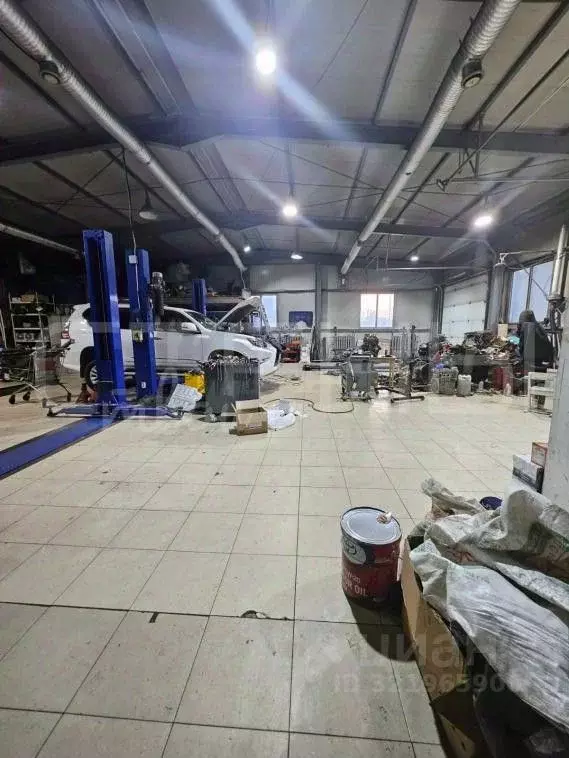 Помещение свободного назначения в Амурская область, Благовещенск ... - Фото 2