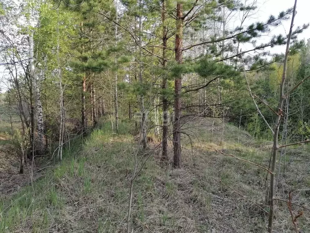 Участок в Тюменская область, Нижнетавдинский район, с. Тюнево  (9.5 ... - Фото 0