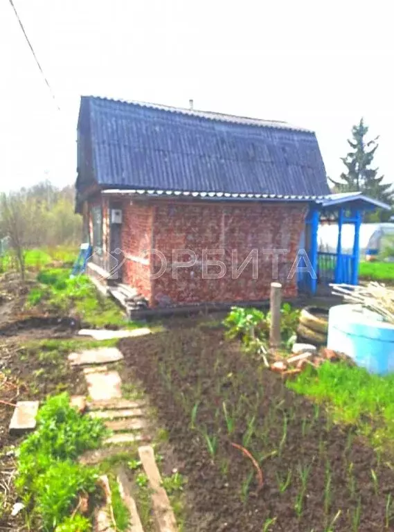 Дом в Нижнетавдинский район, ДНТ Мечта (36 м) - Фото 1
