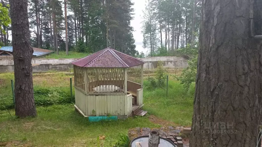 Участок в Ленинградская область, Всеволожский район, Куйвозовское ... - Фото 1